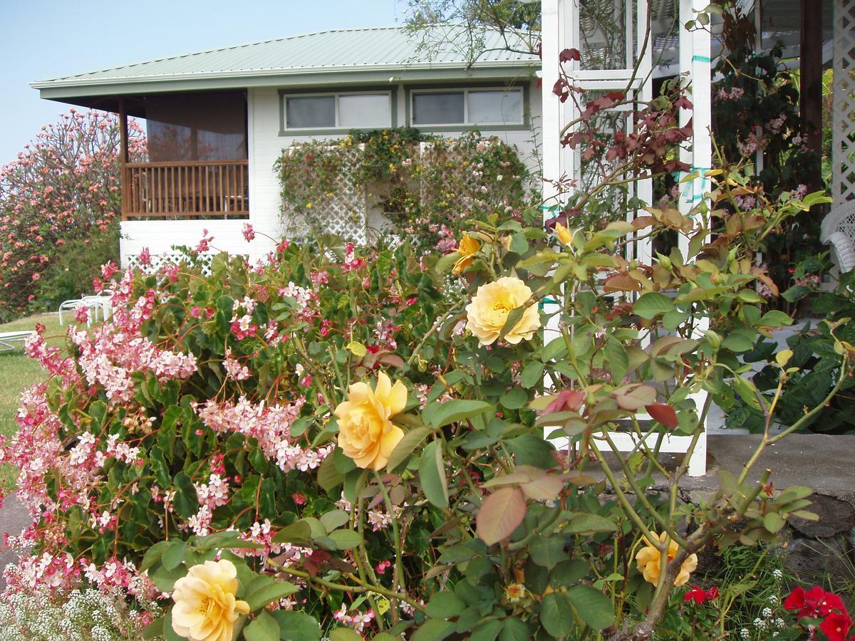 Bed and Breakfast Belle Vue Kona Inc à Captain Cook Extérieur photo